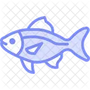 Pez Tetra Neon Pez Neontetra Mascota Icono