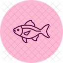 Pez Tetra Neon Pez Neontetra Mascota Icono