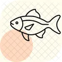 Pez Tetra Neon Pez Neontetra Mascota Icono