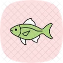 Pez Tetra Neon Pez Neontetra Mascota Icono