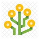 Weg  Symbol