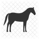 Pferd Tier Reiten Icon