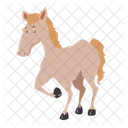 Pferd Haustier Hund Symbol