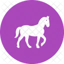 Pferd Tier Tierwelt Icon