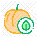 Pfirsich Obst Blatt Symbol