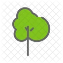 Pflanze Blatter Baum Symbol