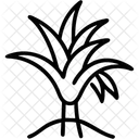 Pflanze Sukkulente Aloe Symbol