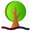 Pflanze Okologie Baum Icon