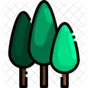 Pflanze Baum Grun Symbol