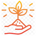 Pflanze Baum Okologie Icon