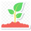 Pflanze Natur Blume Icon