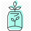 Pflanze Im Glas Pflanze Glas Symbol