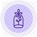 Pflanze Im Glas Pflanze Glas Symbol