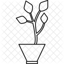 Pflanze Natur Blatt Grunes Blatt Laubpflanze Symbol