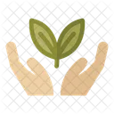 Oko Okologie Hand Icon