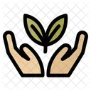 Oko Okologie Hand Icon