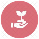 Pflanze Natur Oko Icon