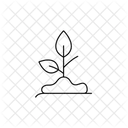 Pflanze Wachst Aus Erde Symbol