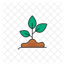 Pflanze Wachst Aus Erde Natur Umwelt Symbol