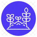 Pflanzen Pflanze Gartenarbeit Icon