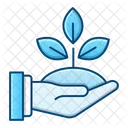 Pflanze Oko Blume Icon