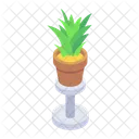 Zimmerpflanze Topfpflanze Dekorative Pflanze Icon