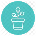 Blumentopf Pflanze Natur Icon