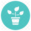 Blumentopf Pflanze Natur Icon