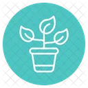 Blumentopf Pflanze Natur Icon