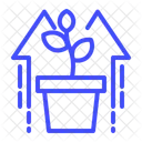 Pflanzenwachstum  Symbol