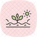Pflanzfeld Pflanzung Feld Symbol