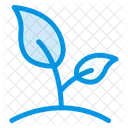 Pflanze Grun Garten Icon