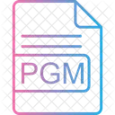 Pgm  Icon