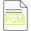 Pgm File Format Icon