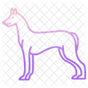 Pharaoh Hound Dog Animal Icon