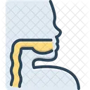 Pharynx Esophagus Mouth Icon