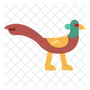 Pheasant  Icon