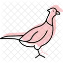 Pheasant Bird Hunting Icon
