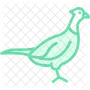 Pheasant Bird Hunting Icon