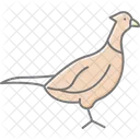 Pheasant Bird Hunting Icon