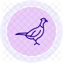 Pheasant Bird Hunting Icon