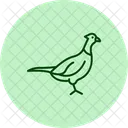 Pheasant Bird Hunting Icon