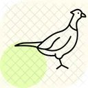 Pheasant Bird Hunting Icon