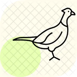 Pheasant  Icon