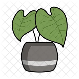 Philodendron  Symbol