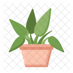 Philodendron  Icon