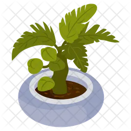 Philodendron  Icon