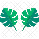 필로덴드론 식물 잎 아이콘