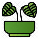 Philodendron  Symbol