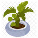 Philodendron  Icon